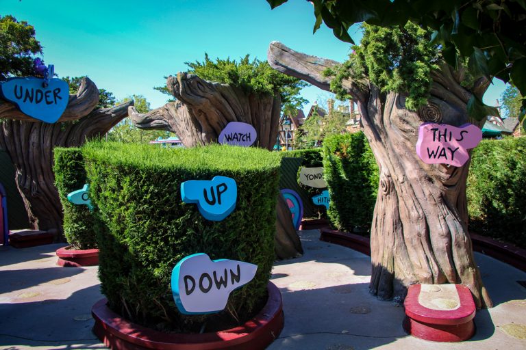 Alice´s Curious Labyrinth