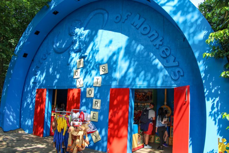 Toy Story Playland Boutique
