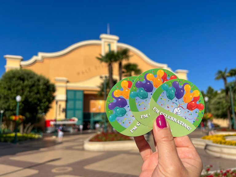 Geburtstag feiern im Disneyland Paris